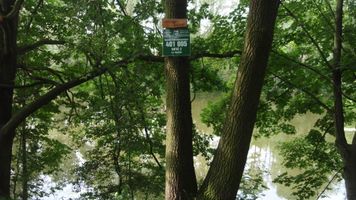 Botič 2-ú.n.Hostivař-28.6.12 (3).JPG